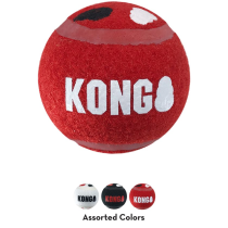 Kong signature sport bal large
