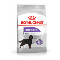 Royal Canin maxi sterilised